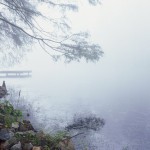 photo image: foggy river bank