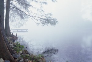 photo image: foggy river bank